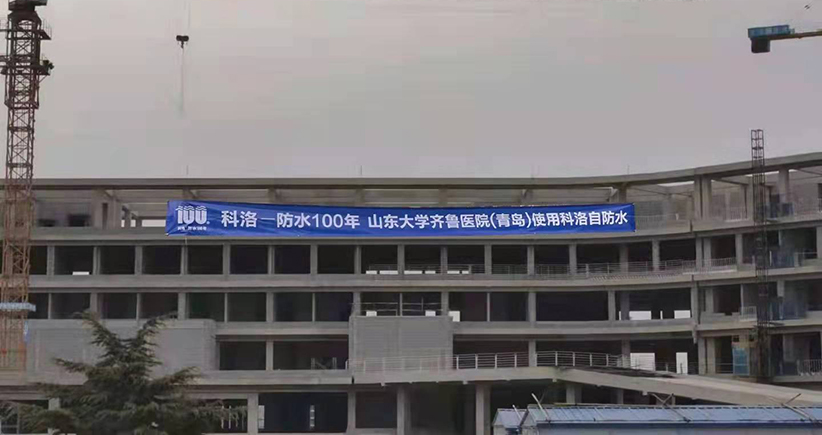 山東大學齊魯醫(yī)院